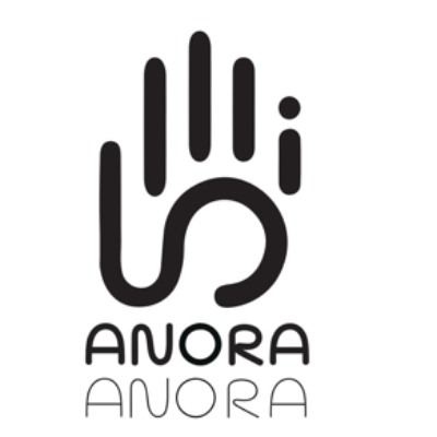 Anoris Technology: Anora – Smart Glove for Blind People